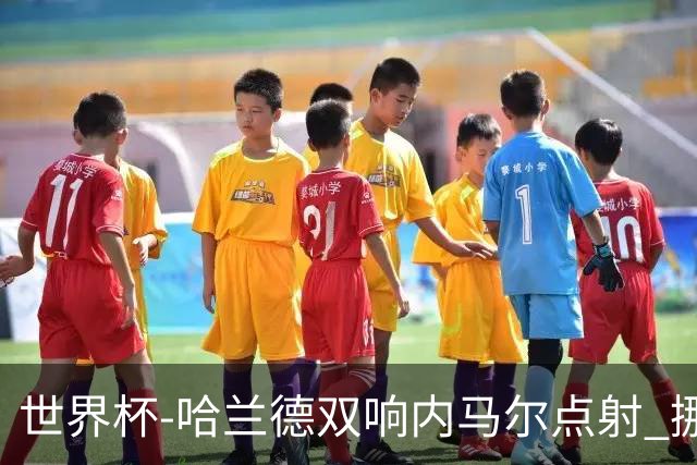 世界杯-哈兰德双响内马尔点射 挪威2-1淘汰巴西进8强